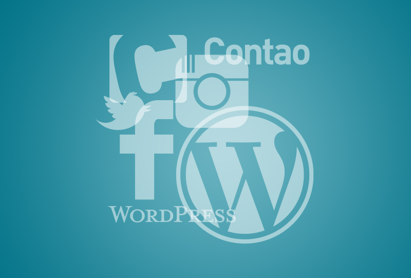 digital Wordpress contao Werbung online marketing